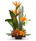 /images/telsg10/T77-1^1lg.jpg Teleflora's Exotic Grace